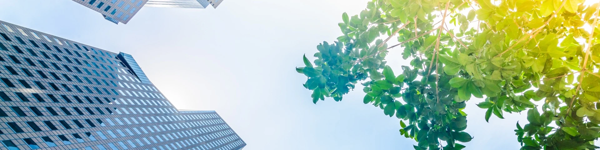 กองทุน Thai ESG อีกหนึ่งกองทุนลดหย่อนภาษีน่าลงทุน ตอบโจทย์มนุษย์เงินเดือน