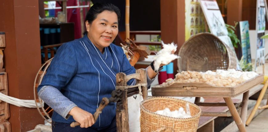 สินค้าวิสาหกิจชุมชน