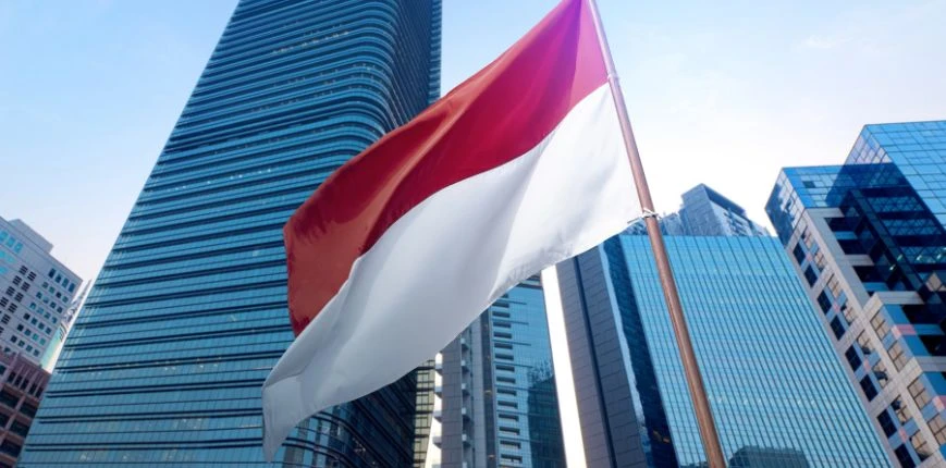 รัฐบาลอินโดนีเซีย