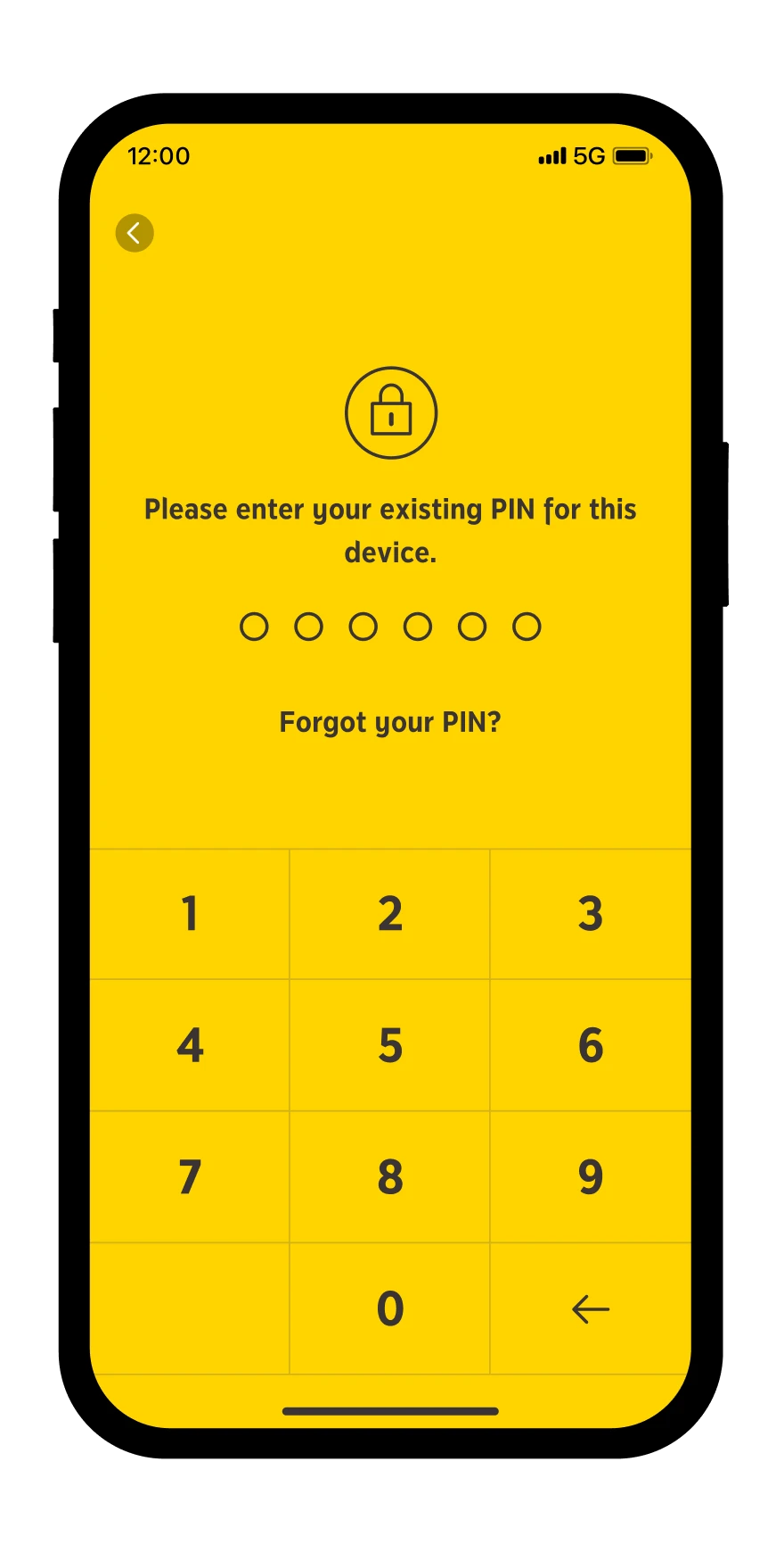 Enter your existing PIN