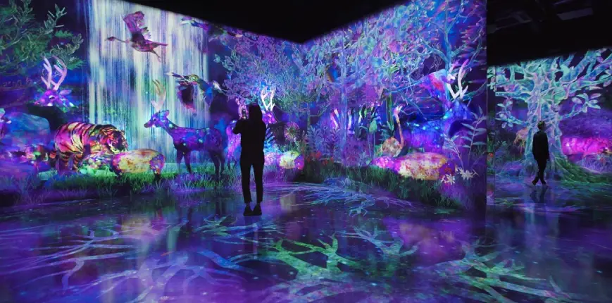 TeamLab Forest