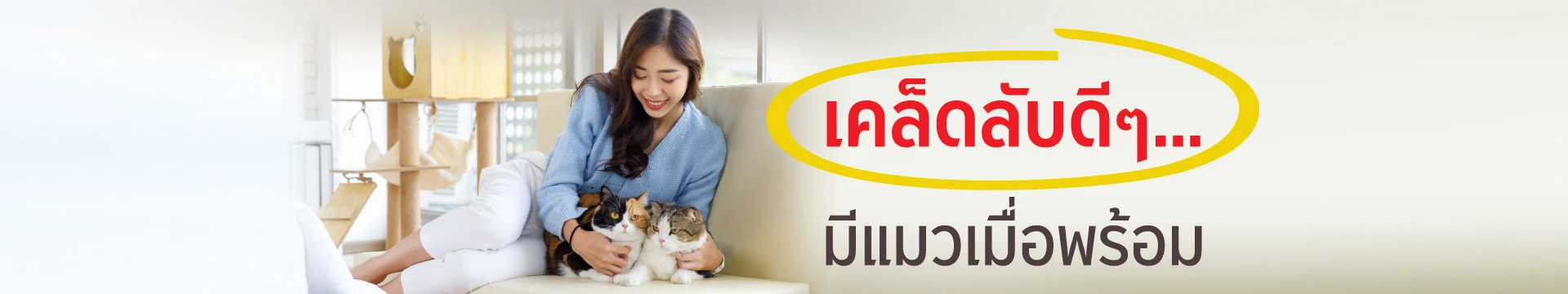 เคล็ดลับดีๆ…มีแมวเมื่อพร้อม