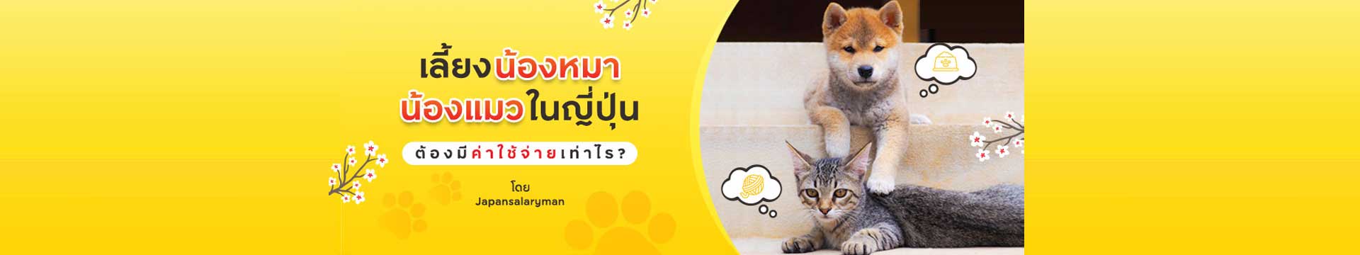 เลี้ยงน้องแมวน้องหมาในญี่ปุ่นมีค่าใช้จ่ายเท่าไหร่?